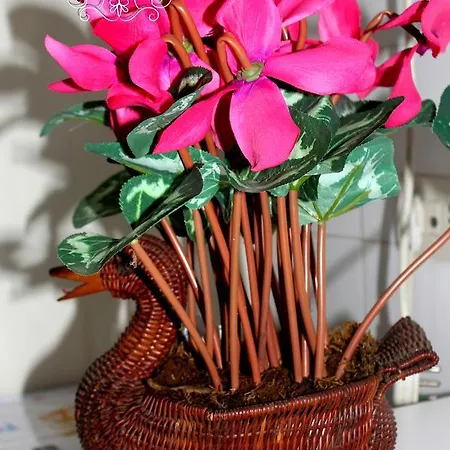 فندق مبيت وإفطار Sweet *